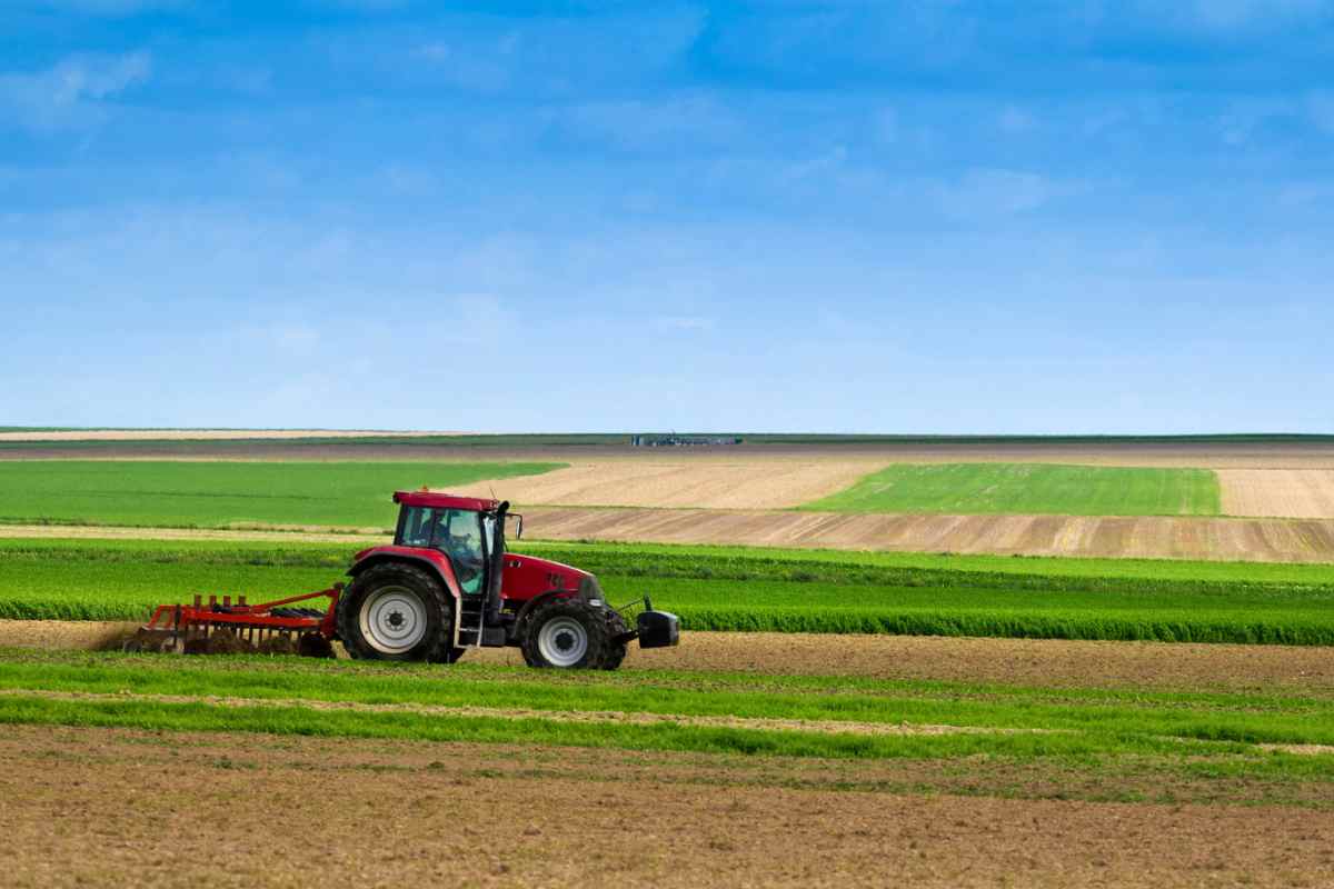 agricoltura festa