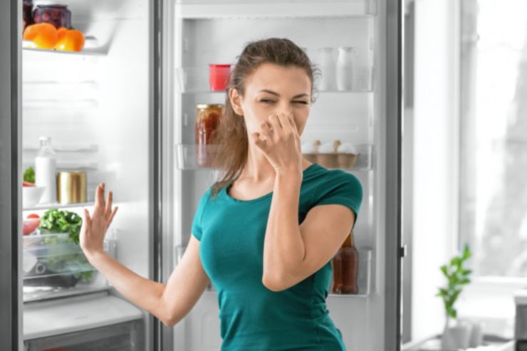 Donna sente puzza frigo