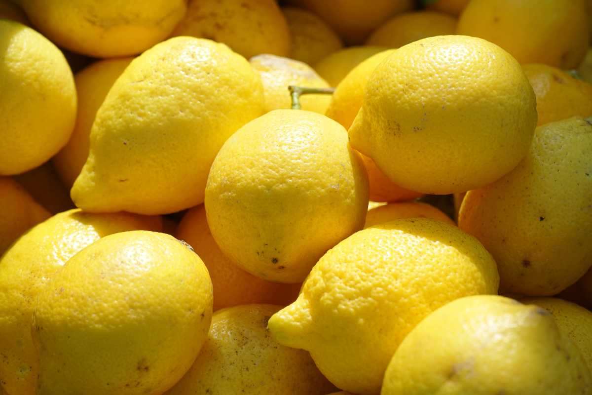 Limoni