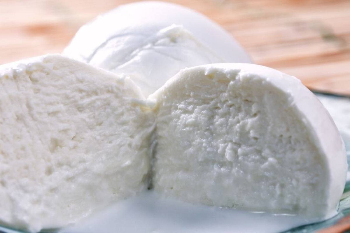 Mozzarella