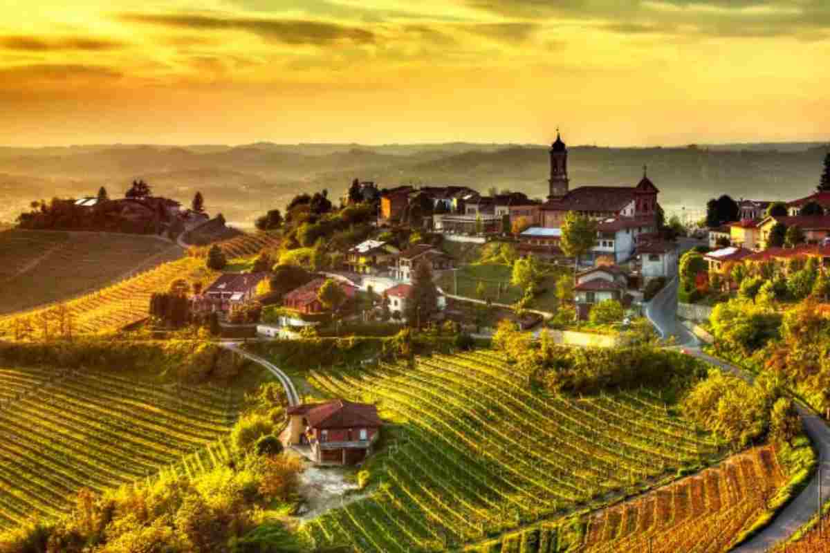 Vista panoramica colline di Langhe e Roero