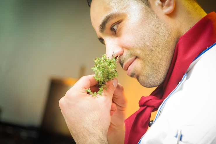 Chef che annusa erbe aromatiche