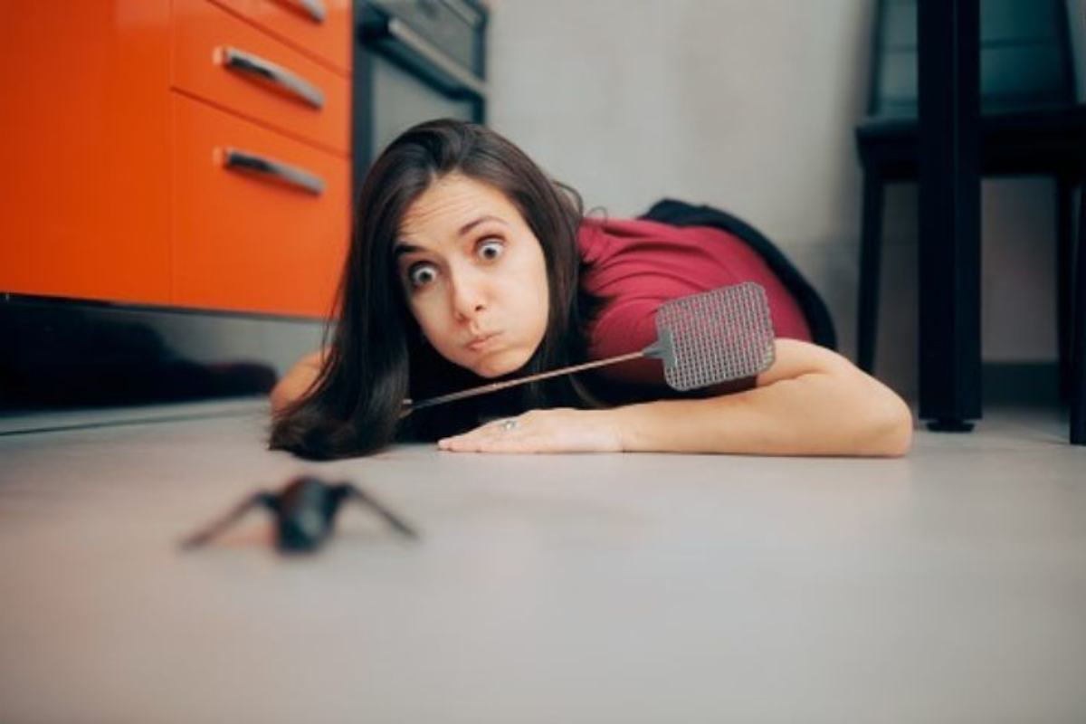 Donna uccide scarafaggi in casa